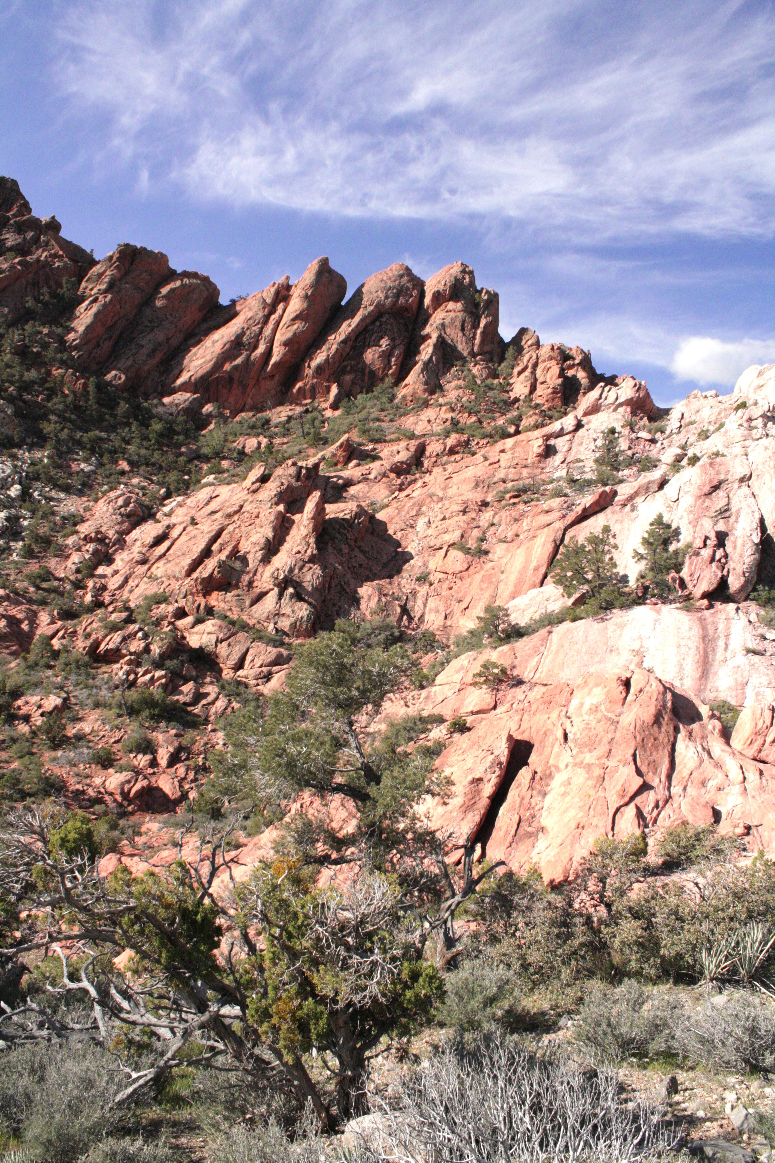 Sandstone Rocks None