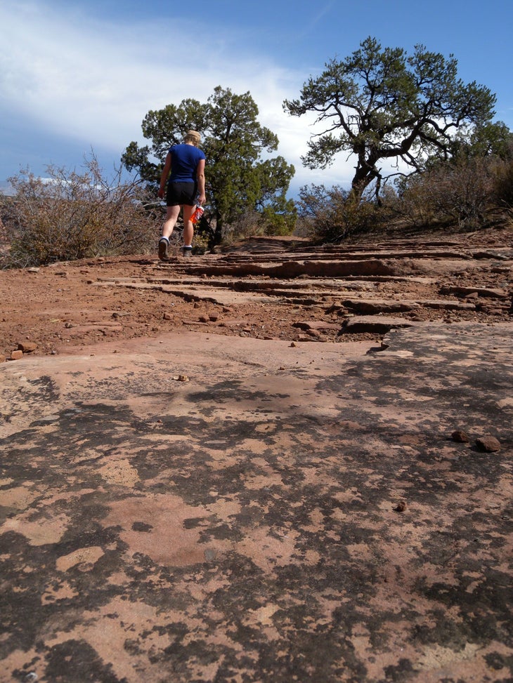 Sandstone Trail None