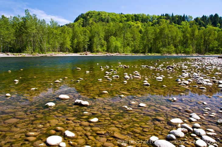 Sandy River None