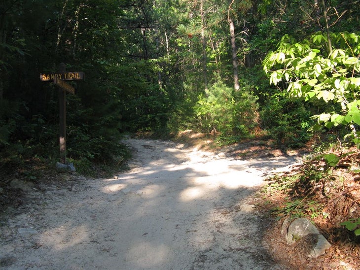 Sandy Trail Junction None