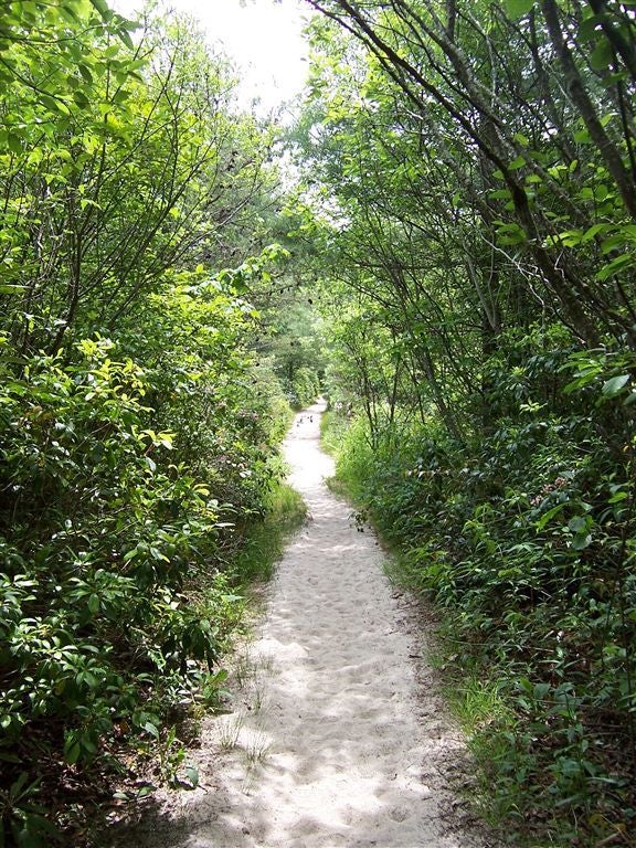 Sandy Trail None