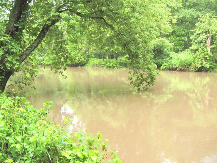 Sangamon River None