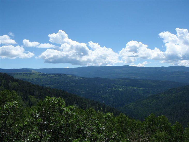 Santa Fe National Forest None