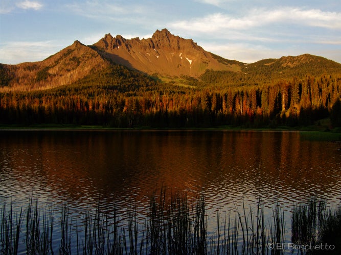 Santiam Lake None