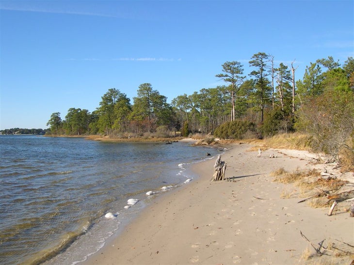 Scenic Beach None