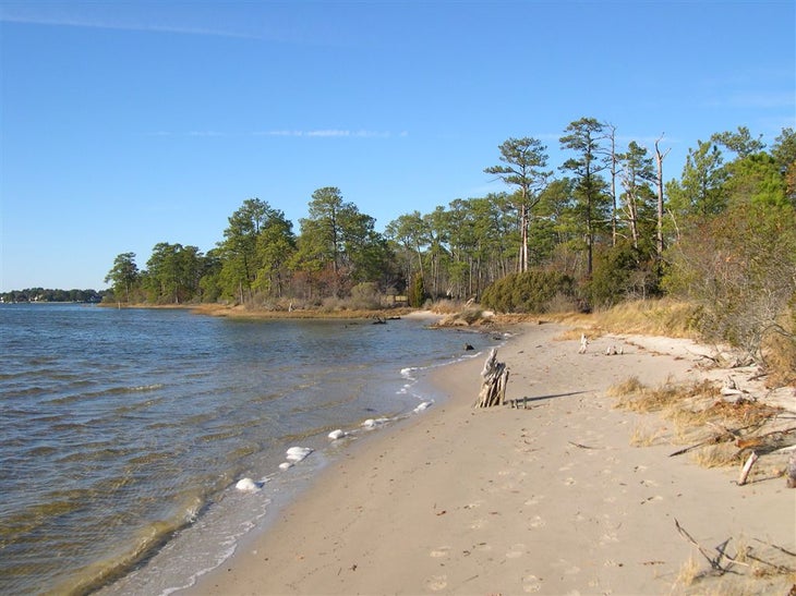 Virginia Beach, VA: First Landing State Park