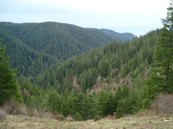 Scenic Viewpoint None
