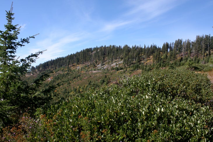Schafer Peak None