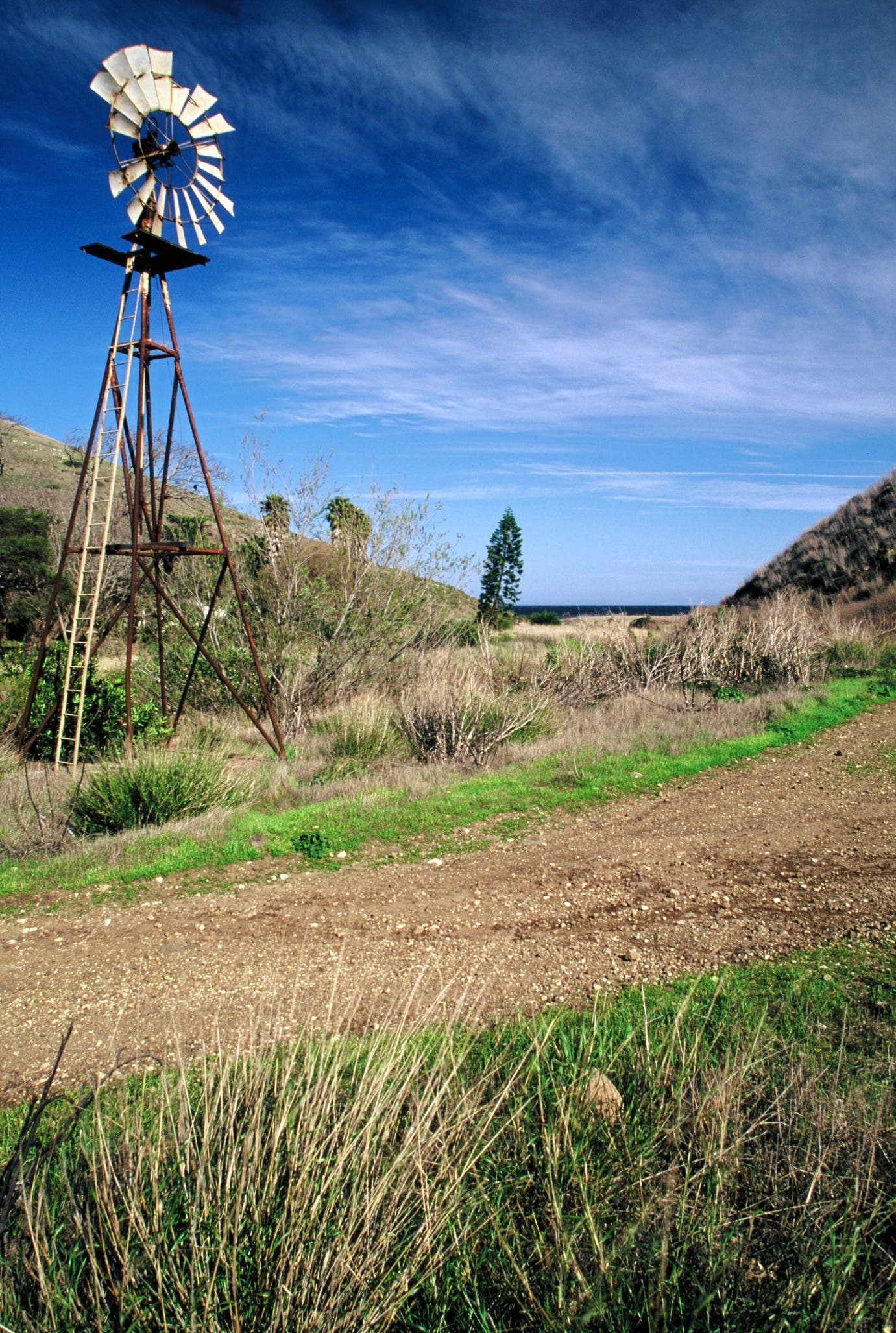 Scorpion Ranch Windmill None