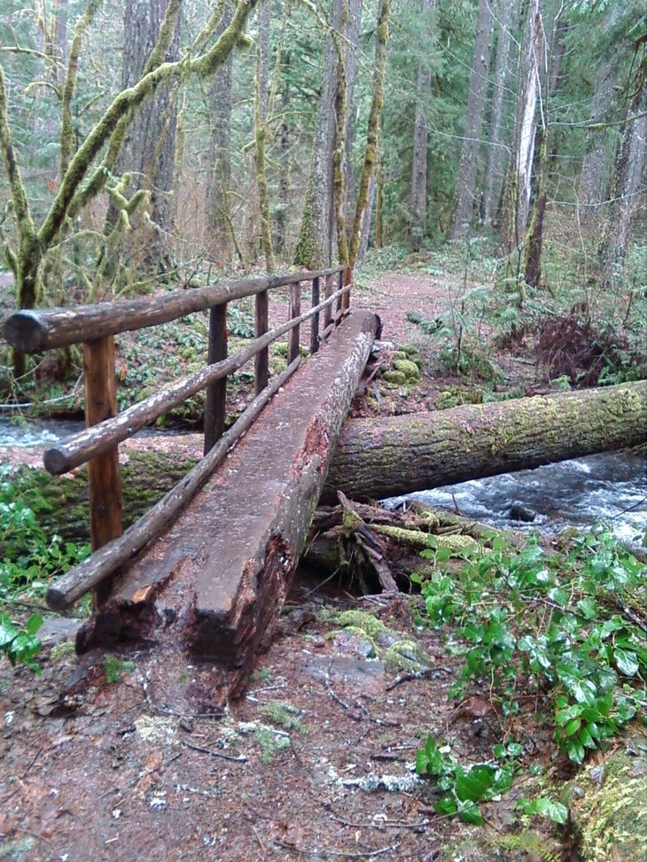 Scott Creek None
