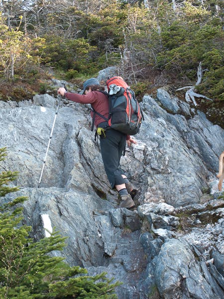 Scrambling up Jay None