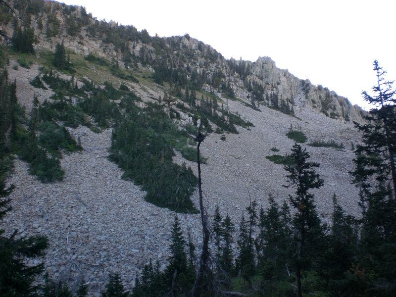 Scree Covered Hills None