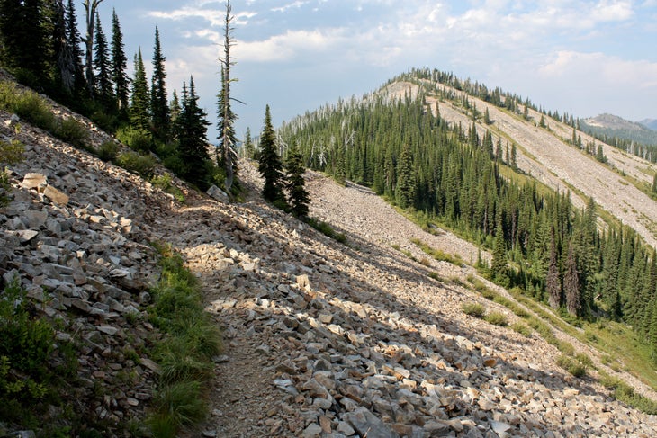 Scree Fields None