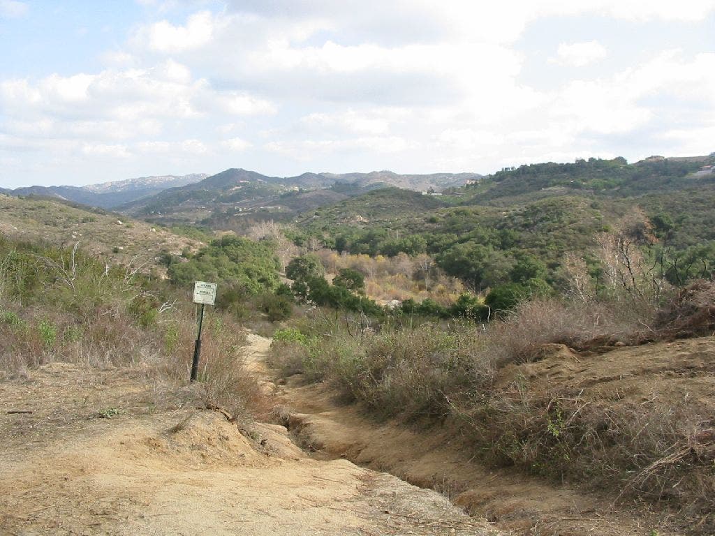 Scrub-lined Path None