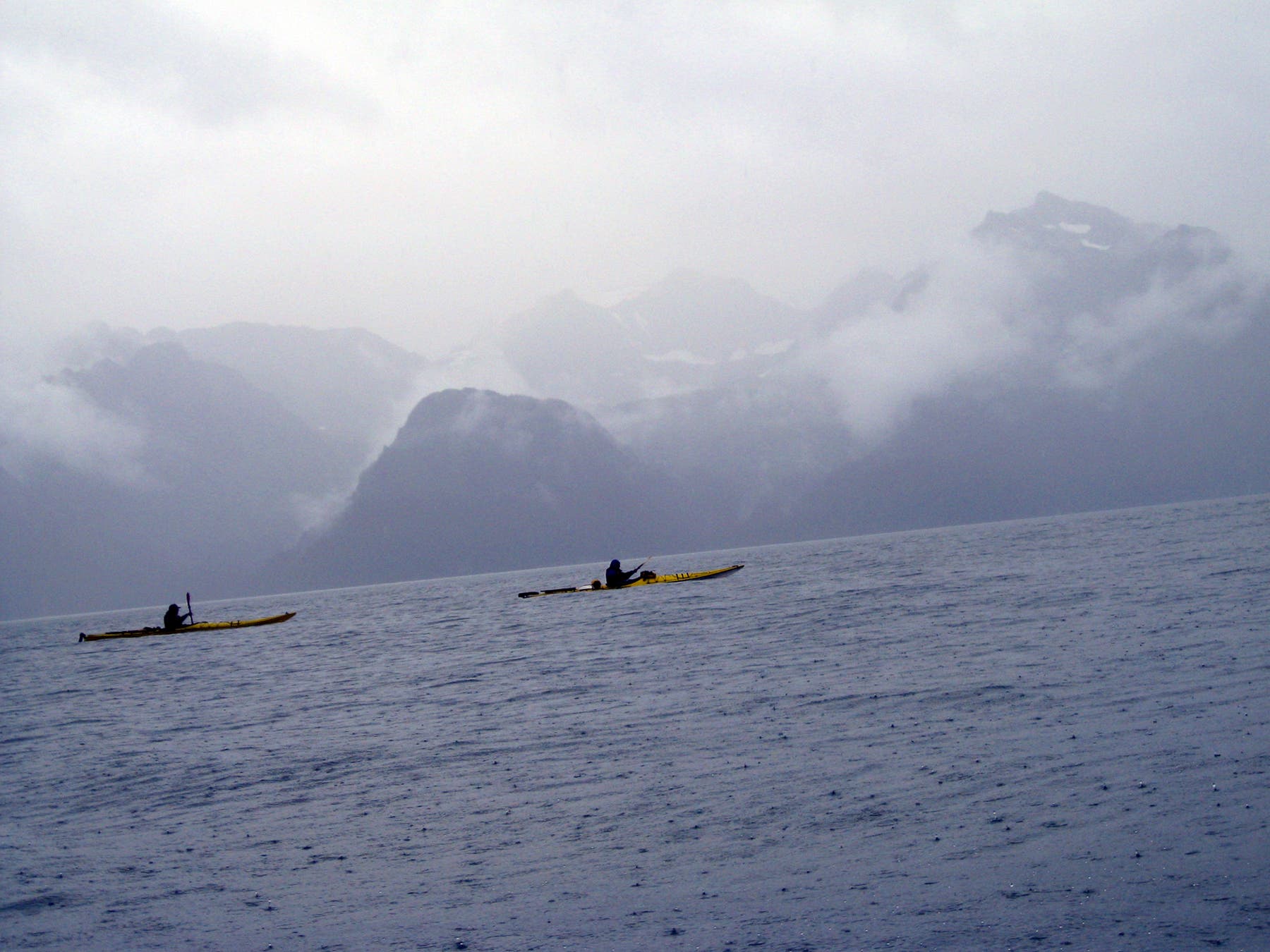 Sea Kayakers in Resurrection Bay None