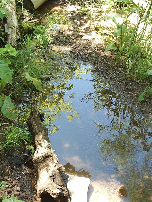Seasonal Water None
