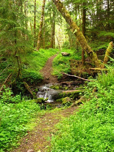 Second Creek Crossing None