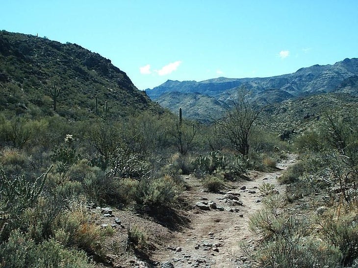 Second Water Trail near the entrance to Garden Valley None