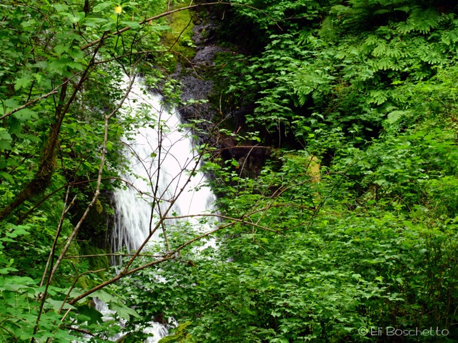 Secret Falls None