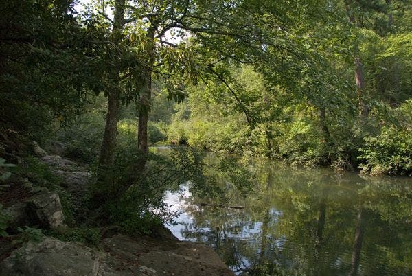 Serene River Scene None