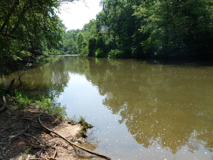 Serene waters None