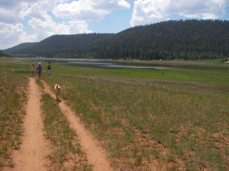 Service road hiking None