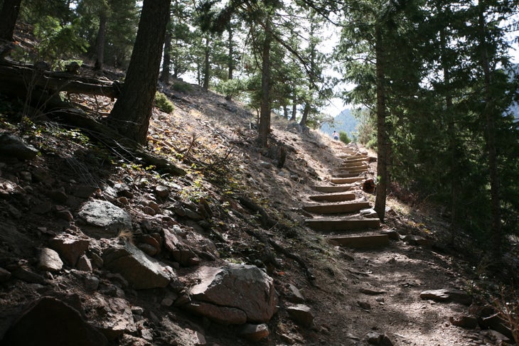 Shady Trail None