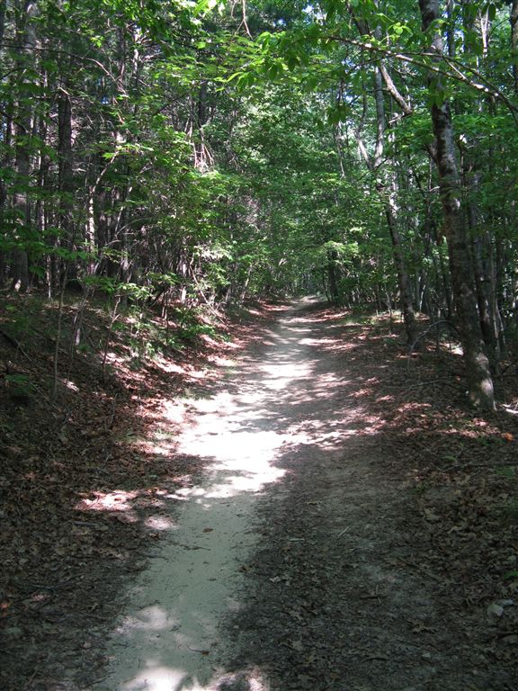 Shady Trail None