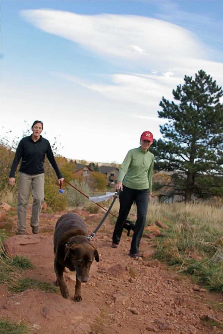 Shanahan Ridge Trail None