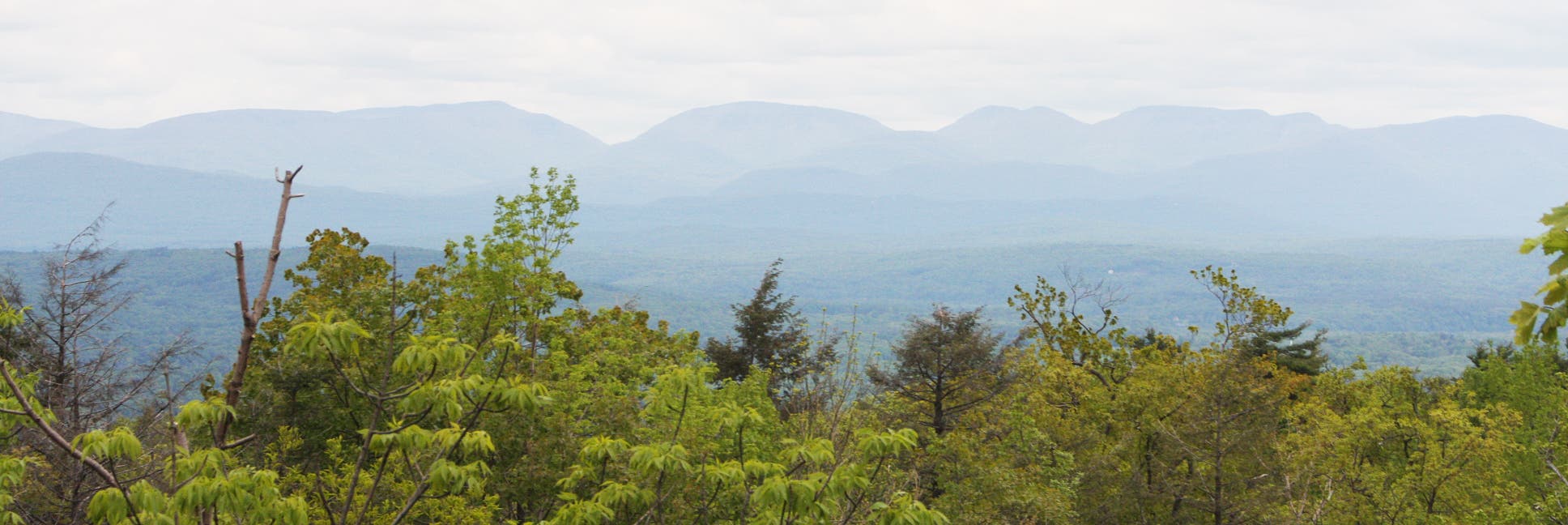Shawangunk Panorama None