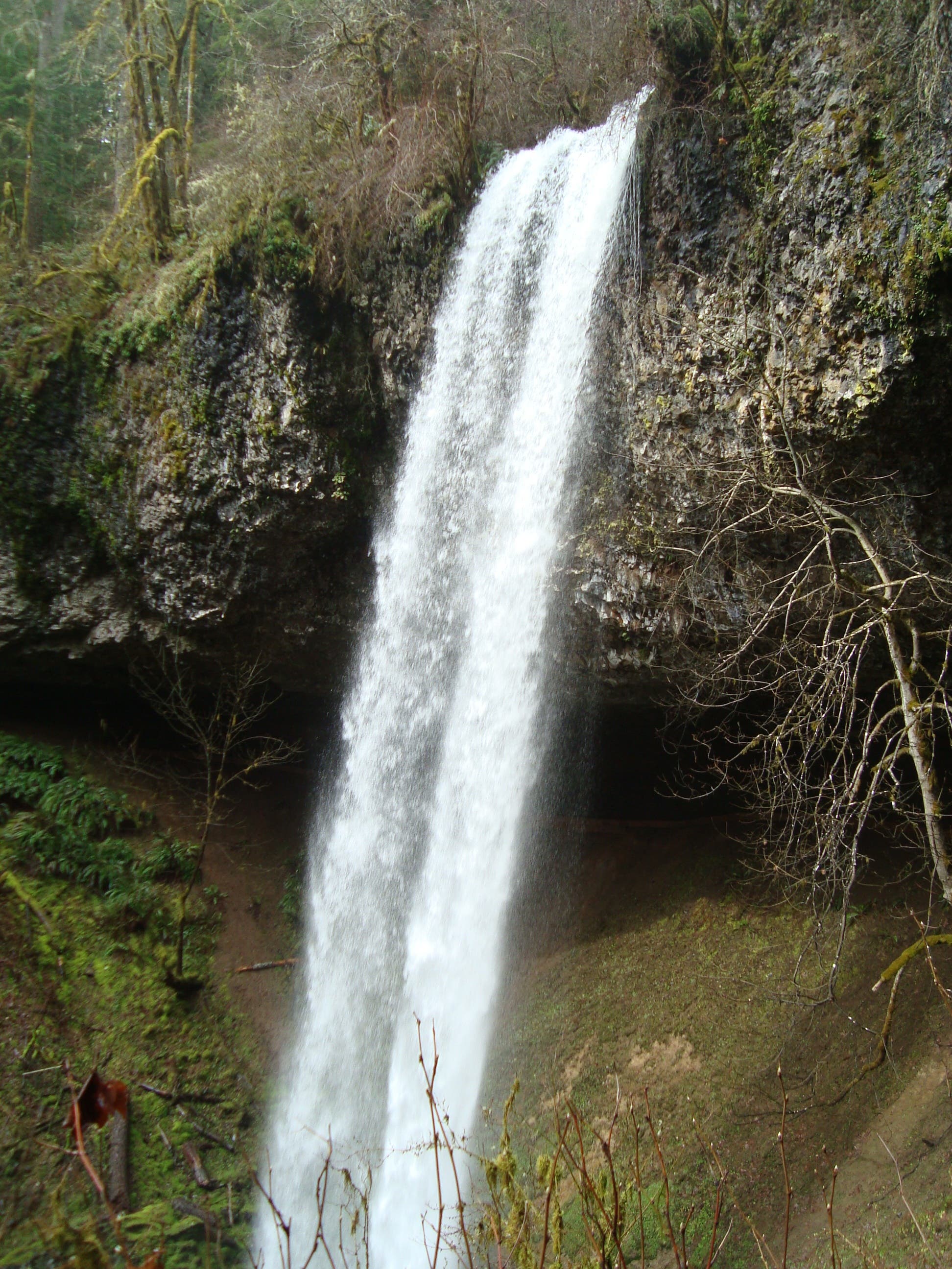 Shellburg Falls None