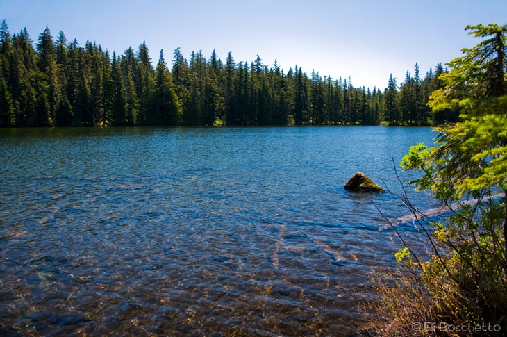 Shellrock Lake None
