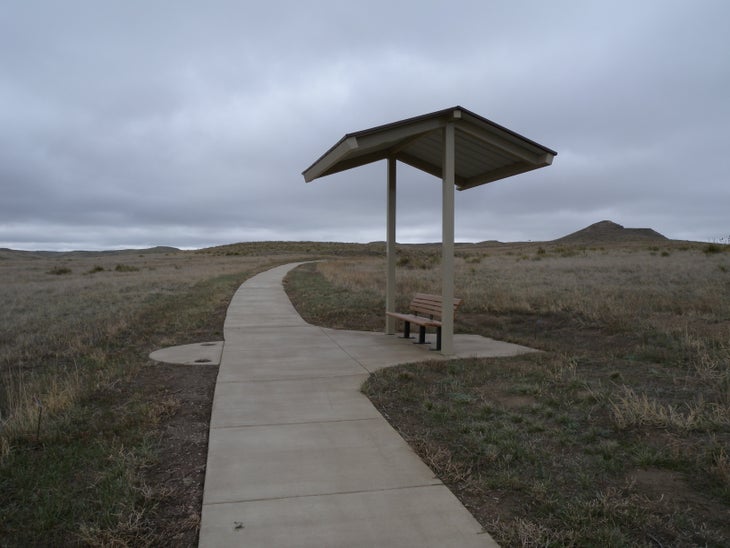 Shelter None
