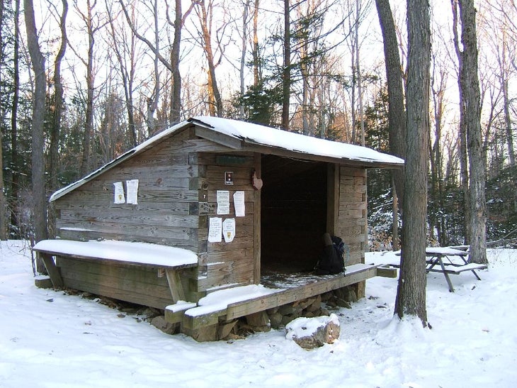 Shelter None