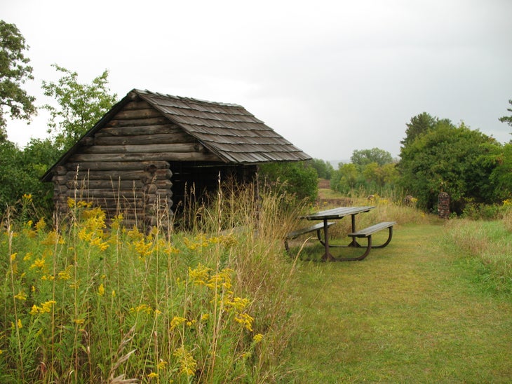 Shelter None