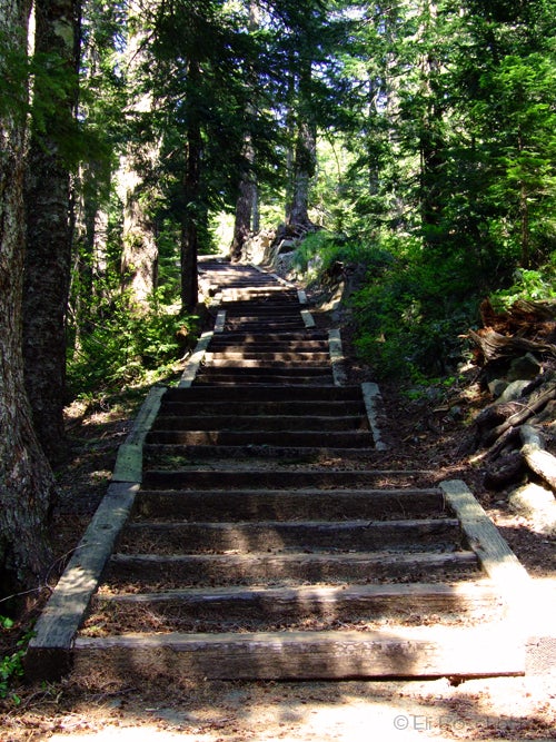 Sherrard Steps None