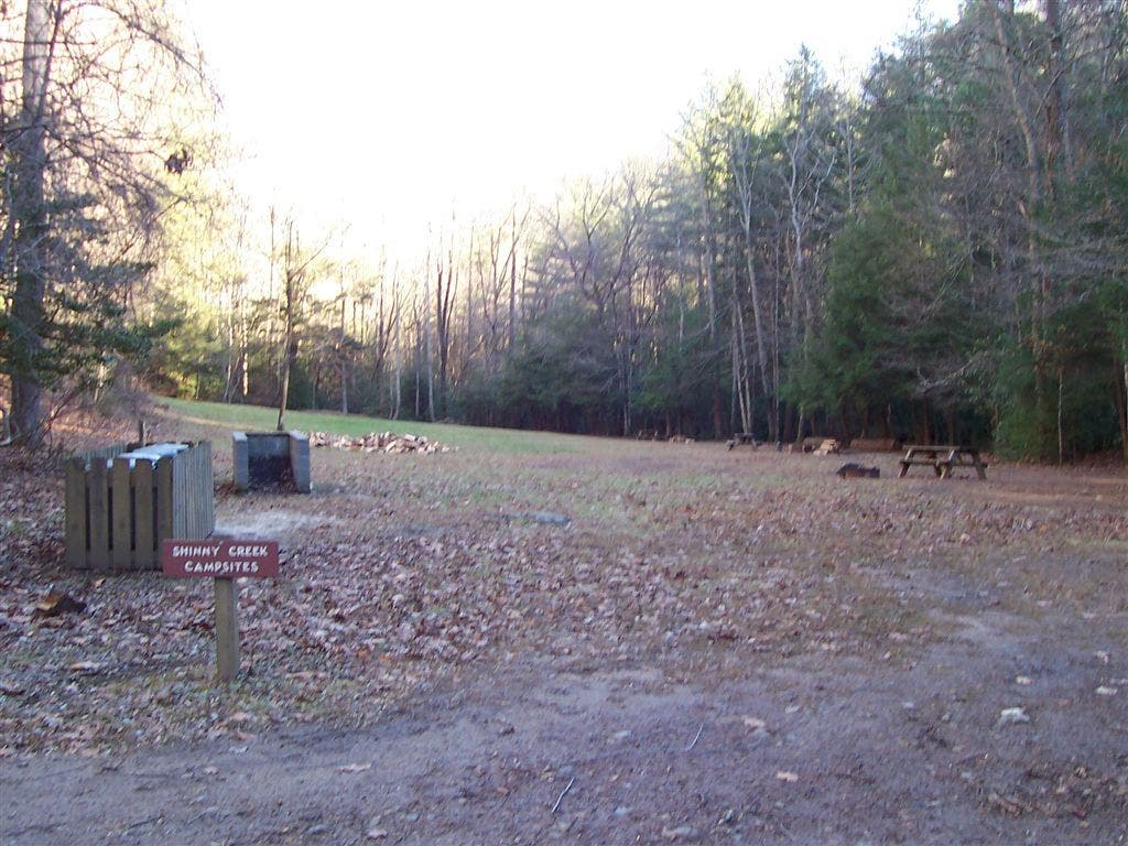 Shinny Creek Campsites None