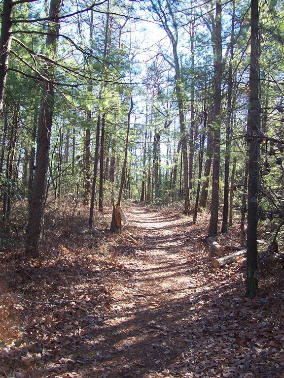 Charlotte: Upper Falls Loop