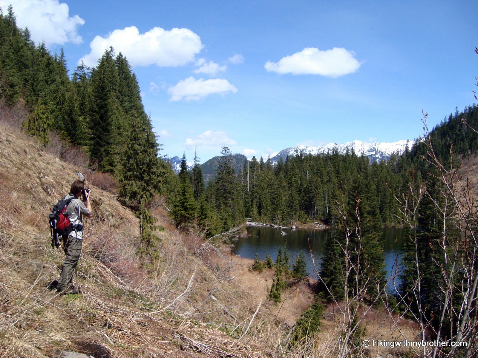 Shooting Greider None