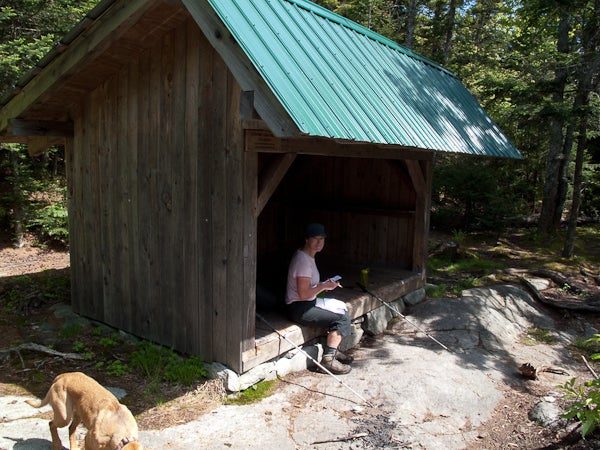 Shooting Start Shelter None