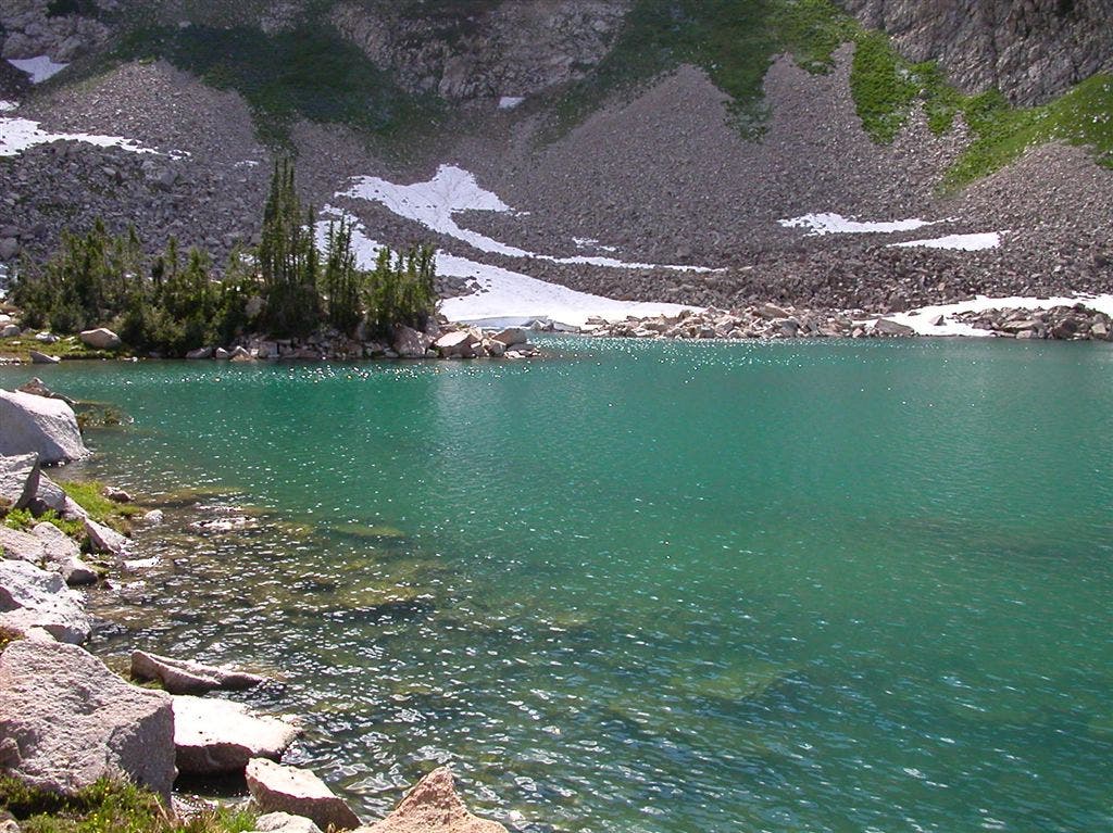 Shores of White Pine Lake None