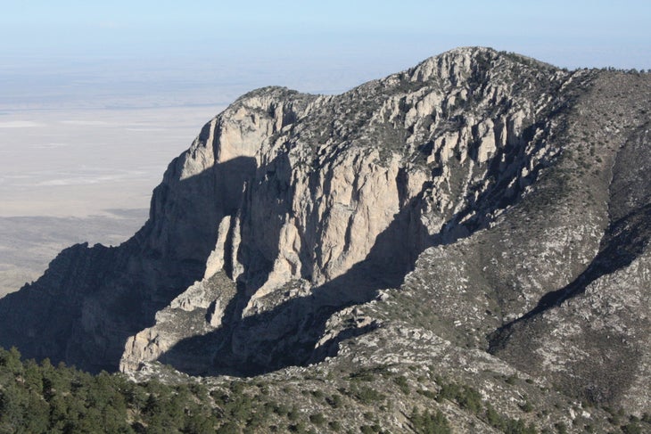 Shumard Peak None