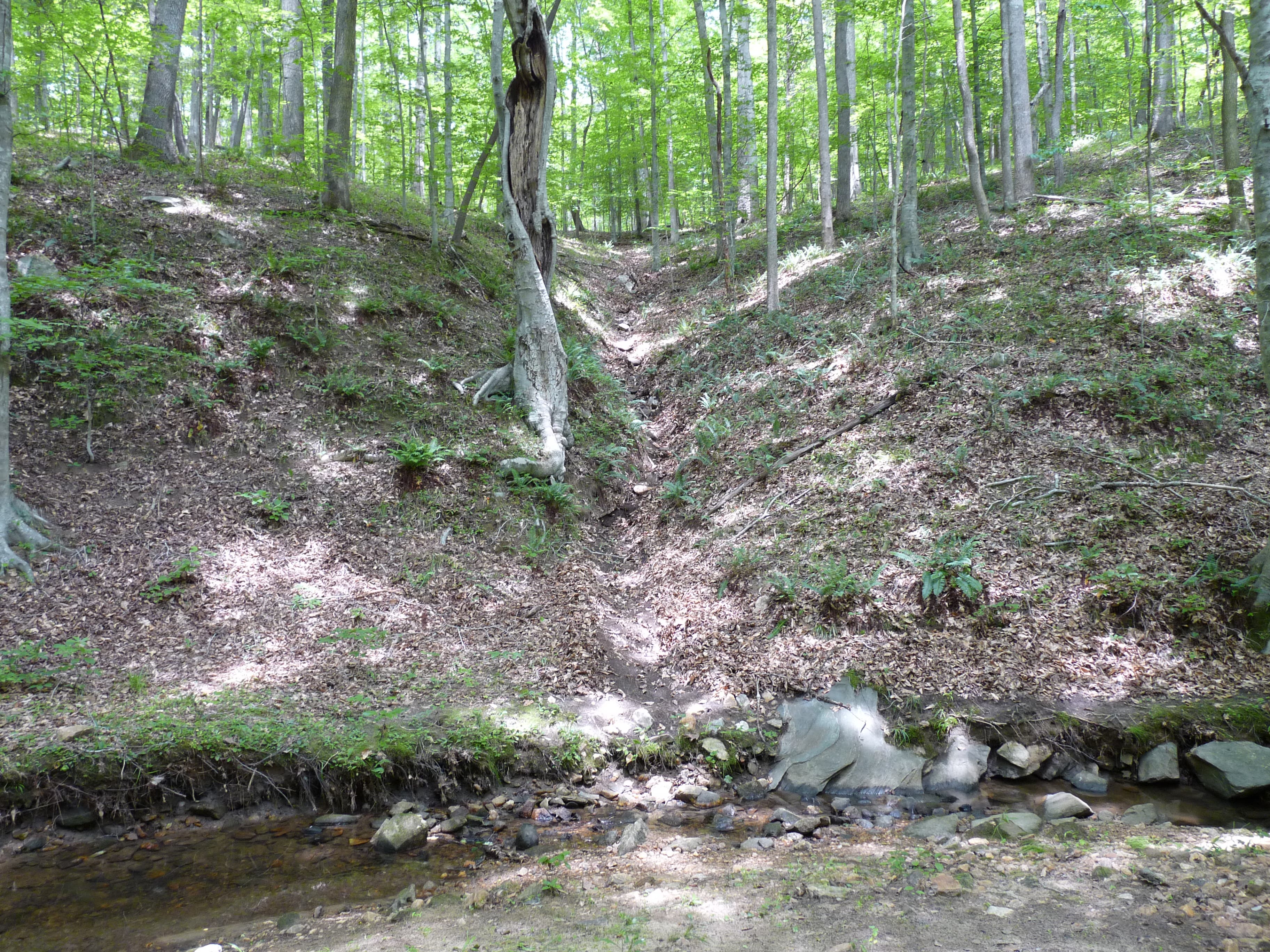 Side Stream Off Sycamore Creek None