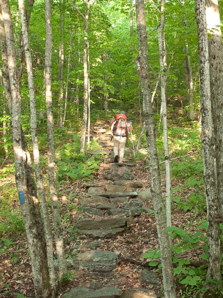 Side Trail to Spruce Ledge None