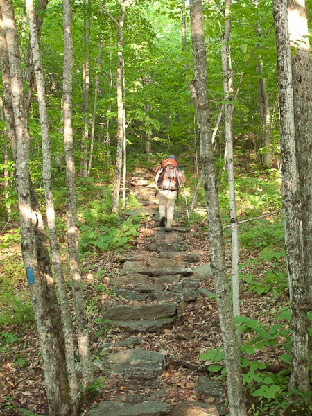 Side Trail to Spruce Ledge None