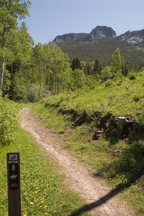 Sign None