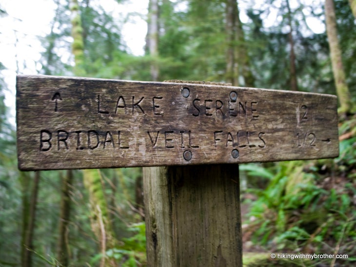 Signpost None