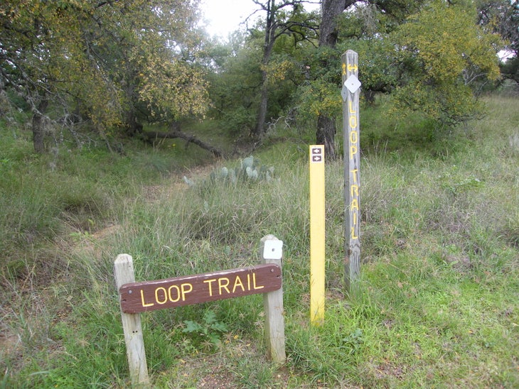 Signs None