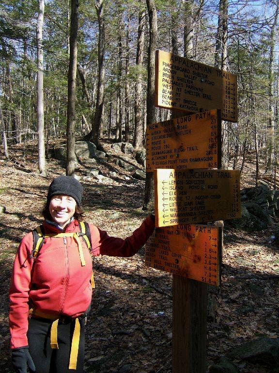 Signs, Everywhere Signs None