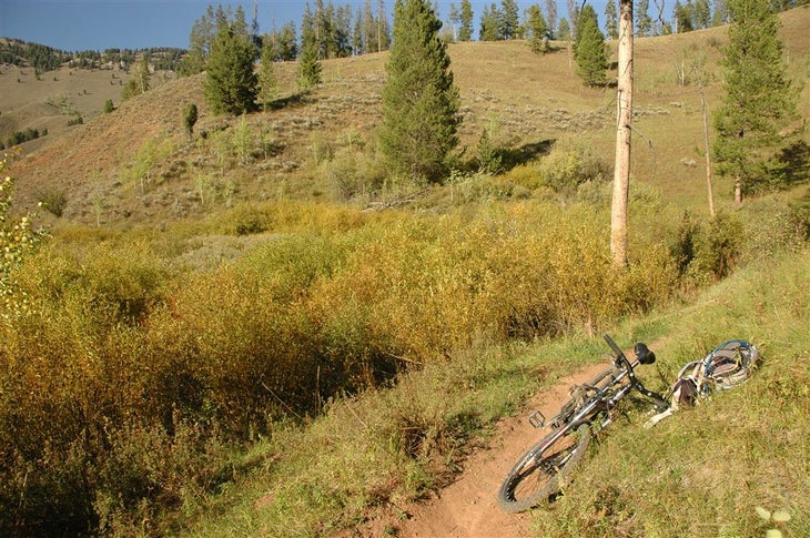 Singletrack None